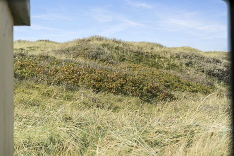 Sommerhus med hyggelig naturgrund