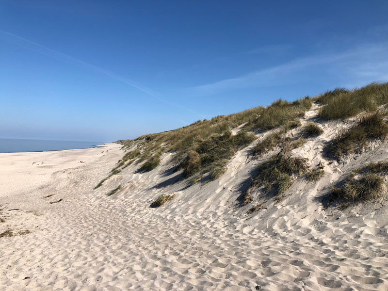 Klitterne ved Vedersø Klit Strand